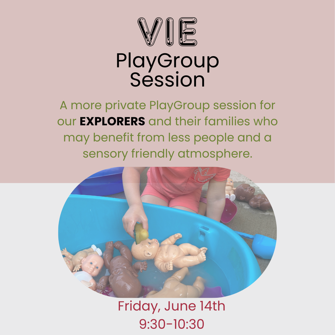 VIE PlayGroup June 14th session
