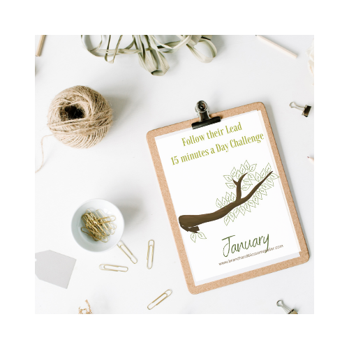 Follow their Lead Reflection Journal Printable Digital Planner with Tracker Pages