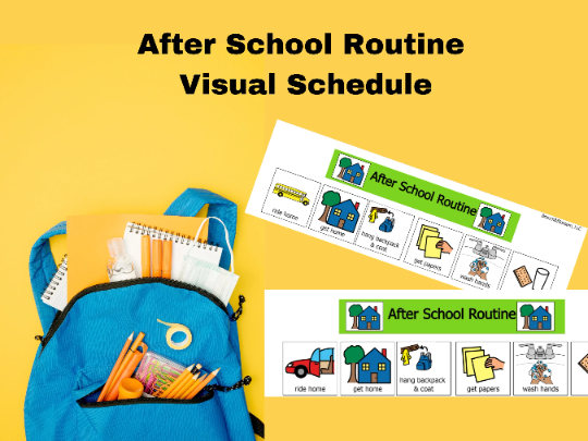 After School Visual Schedule / DIGITAL DOWNLOAD