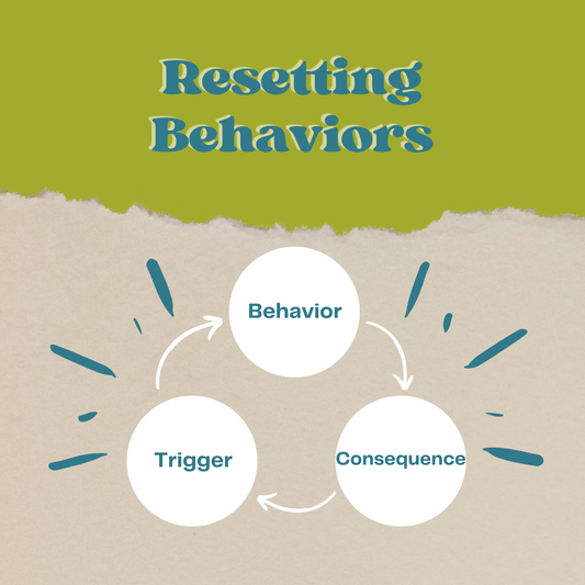 Resetting Behaviors Class: Creating Peace in your Home